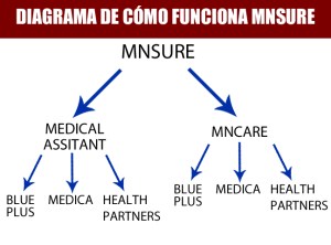 como-funciona-mnsure